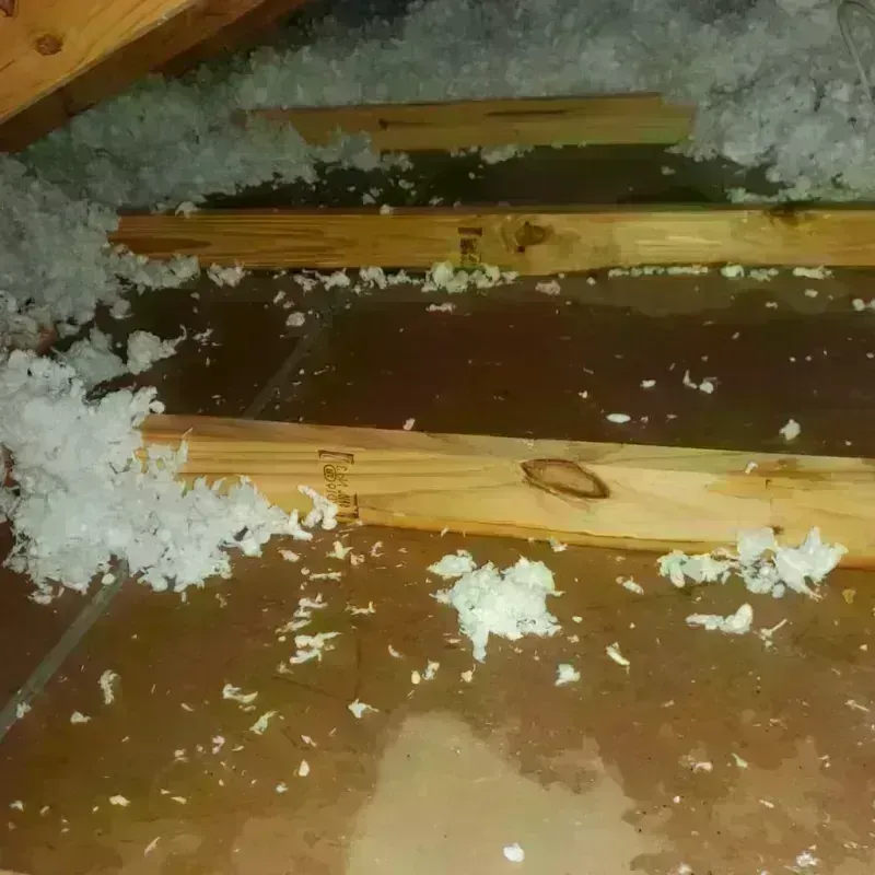 Attic Water Damage in McLean, VA