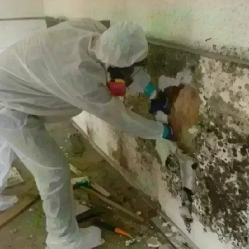 Mold Remediation and Removal in McLean, VA