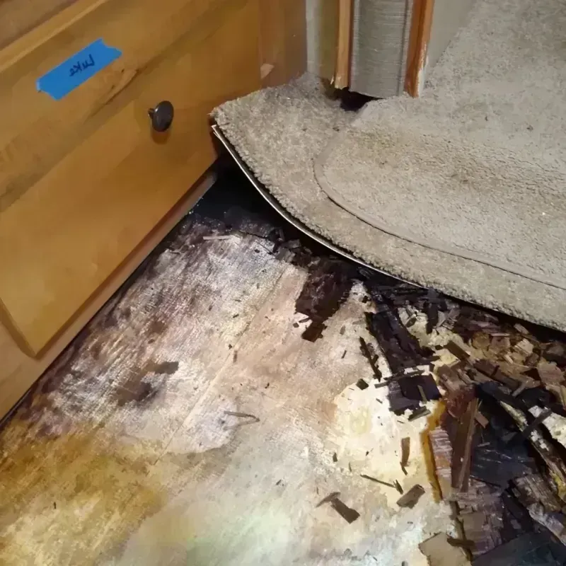 Wood Floor Water Damage in McLean, VA